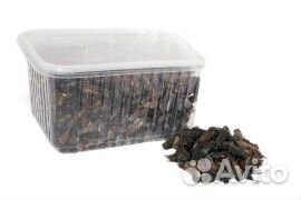 Замороженные к.о. сверчки, тараканы, мыши, крысы