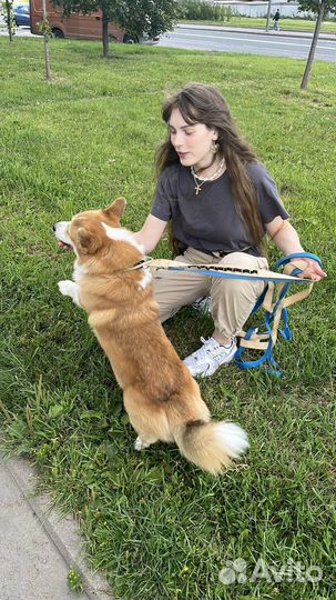 Няня для ребенка