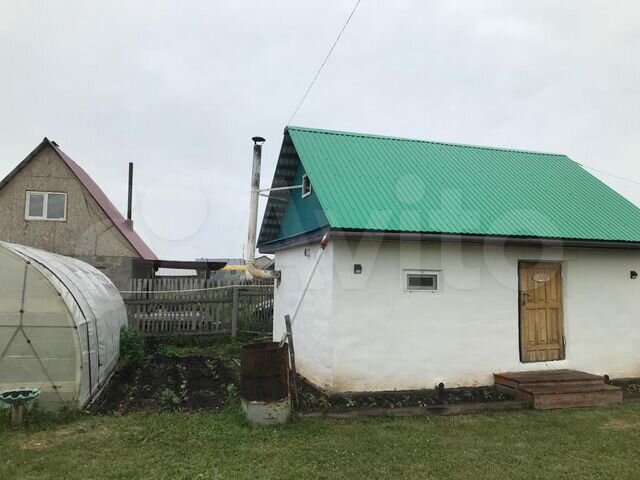 Авито салават цветок. Авито салават цветок. Авито салават цветок. Авито салават цветок. 53 розы.