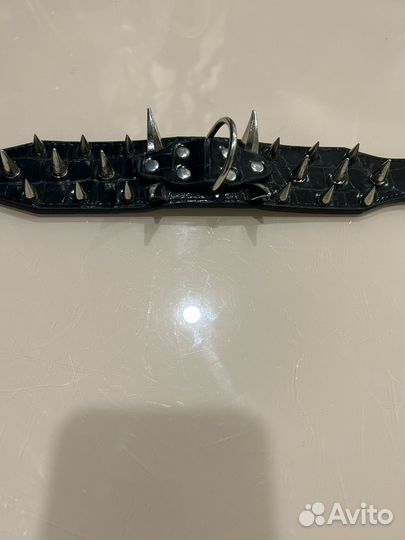 Ошейник для собак