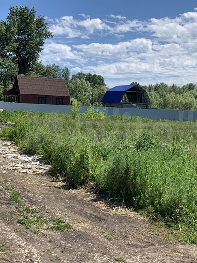 Участок 6 сот. (СНТ, ДНП)