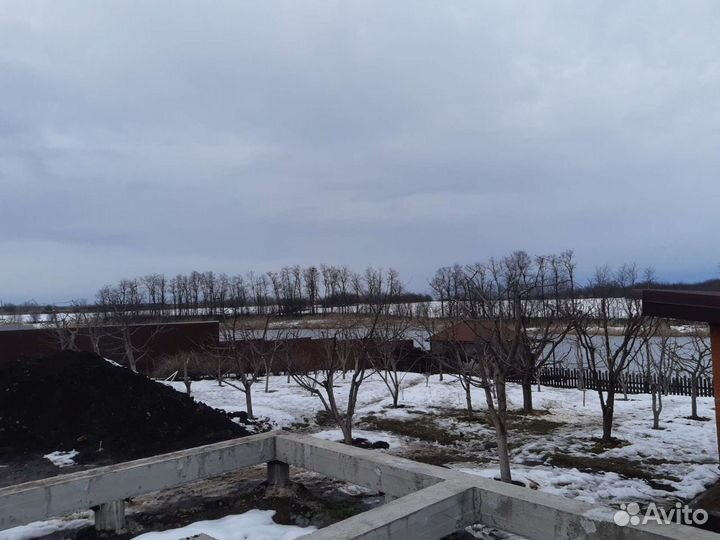 Спил деревьев,обрезка плодовых
