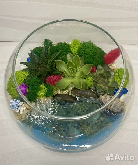 Флорариум из суккулентов