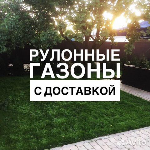 Рулонный газон