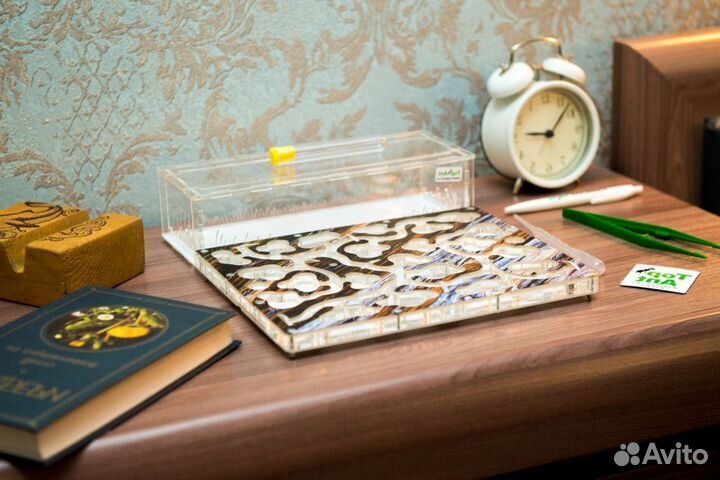 Формикарий/ Подарок для ребенка/ Муравьиная ферма