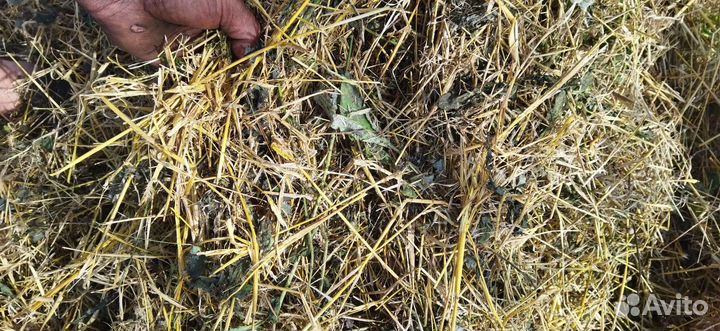 Солома в рулонах