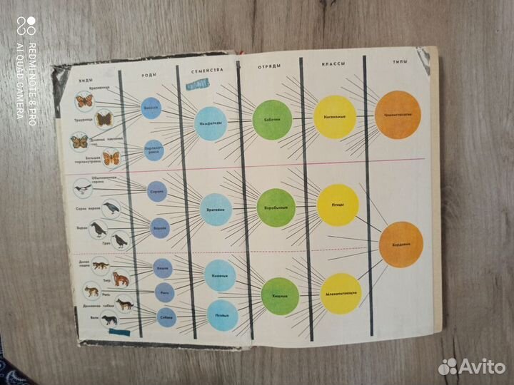 Зоология. Учебник для 6-7 кл. средней школы. 1976г