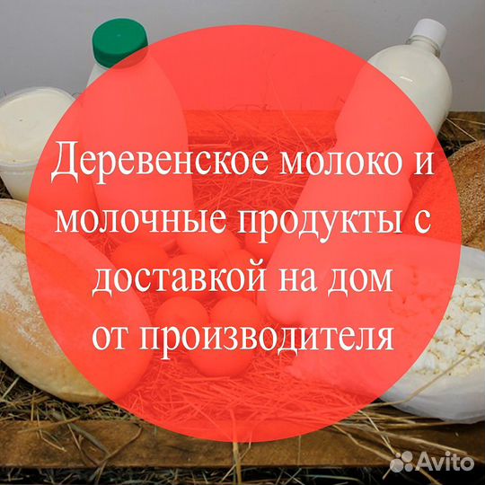 Молоко, творог, сметана, масло, яйцо куриное