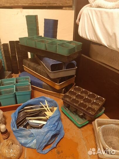 Поддоны для рассады