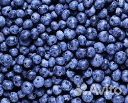 Черника (ягода)