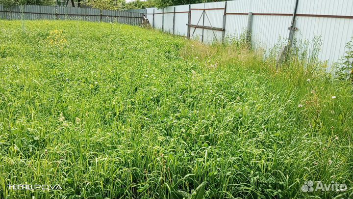 Покос травы триммером