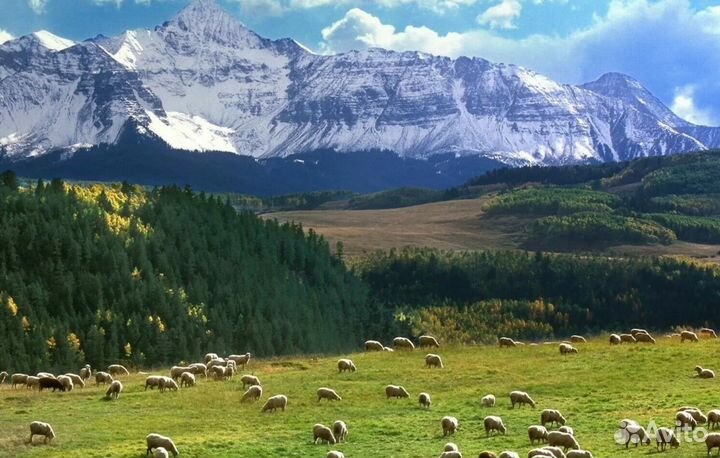 Авторские туры в горы