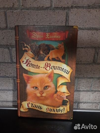Коты-воители 