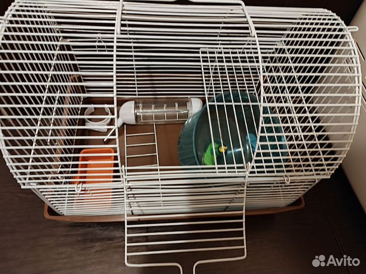 Клетка для джунгарского хомяка