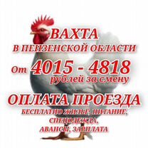 Вахта в Пензе Фасовщик/ца проезд жилье еда, Линда