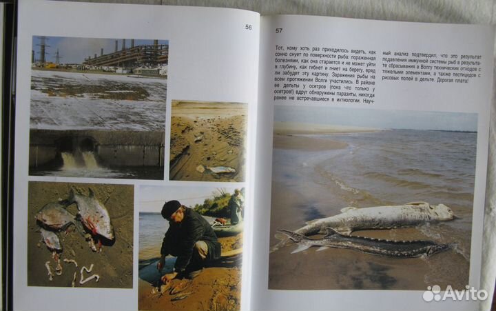 Волга. Боль и беда России. Фотоальбом