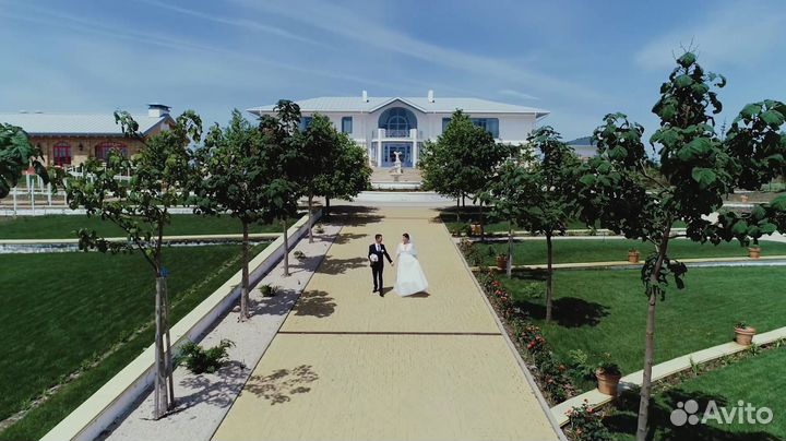 Видеограф фотограф