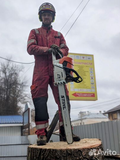 Удаление спил деревьев