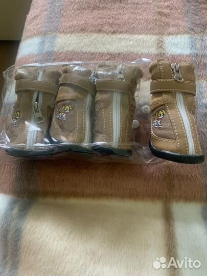 Ботинки для собак