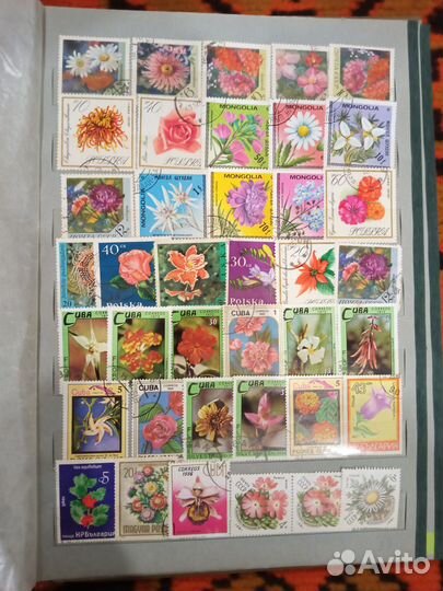 Почтовые марки Флора