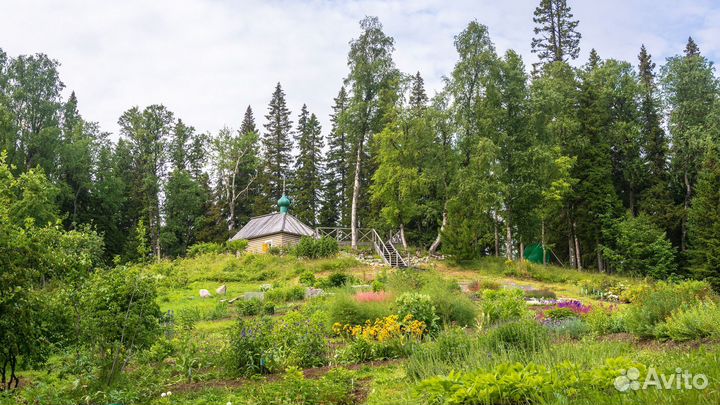 Путешествие на Соловки из Санкт-Петербурга