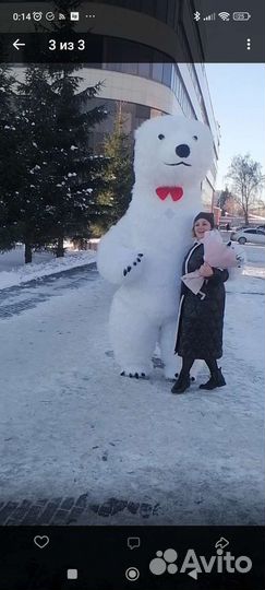 Белый Мишка/Панда 2.6 м. Поздравление. (Аренда)