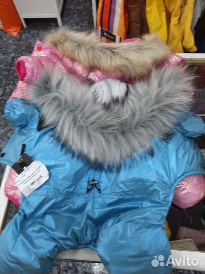 Комбинезоны, куртки, Худи, свитера для собак