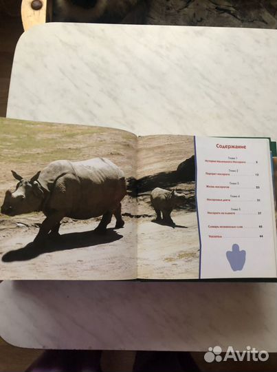 Книги про животных