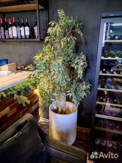 Вазоны, Горшки, Кашпо под заказ из бетона арт 117