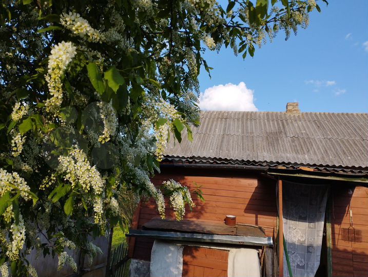 Дом 80 м² на участке 10 га