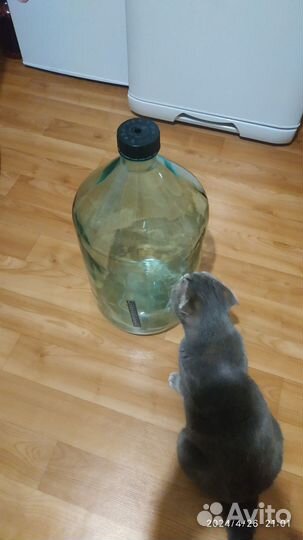 Бутыль стеклянная 20 литров