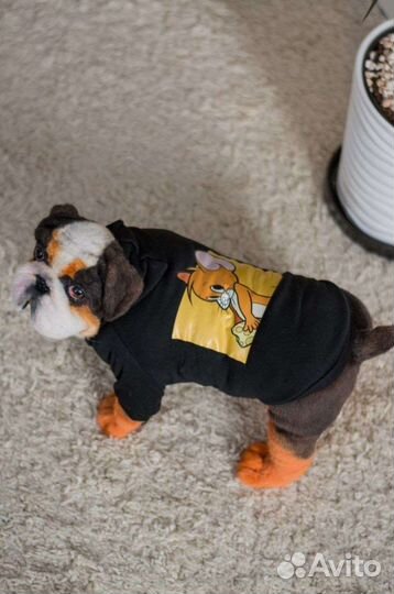 Новая.Кофта толстовка для животных,XL-40см