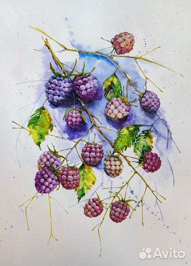 Акварель «Малина» А3