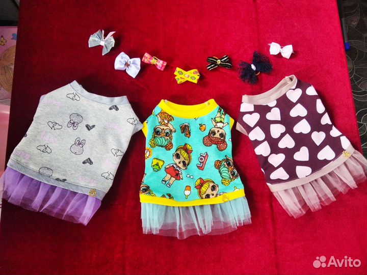 Одежда для животных. Собак и кошек