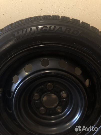Roadstone Winguard 205/55 R16