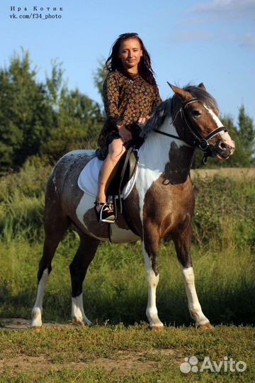 Продам лошадей