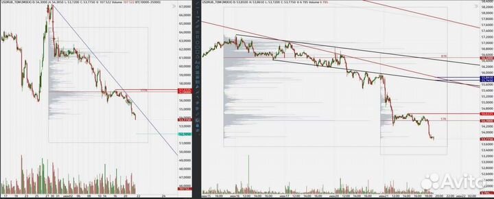 Образование