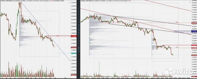 Образование