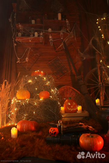 Фотостудия Хэллоуин