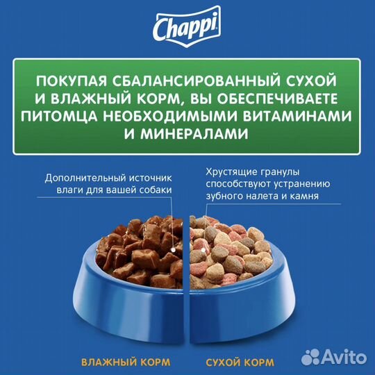 Корм для собак Chappi 15 кг (доставка по городу)