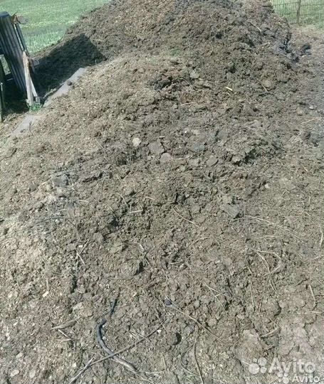 Конский навоз