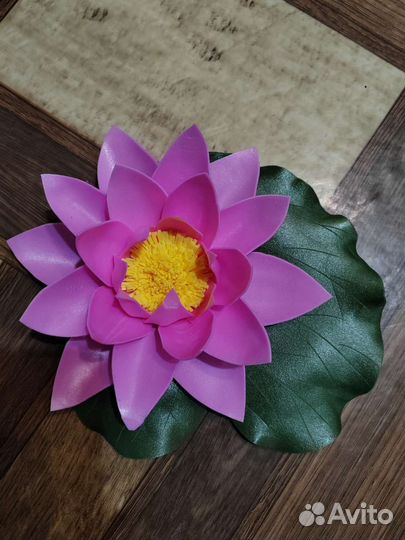 Декоративный лотос для пруда