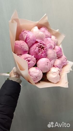 Цветы пионы букет