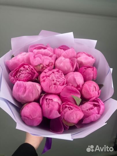 Цветы пионы