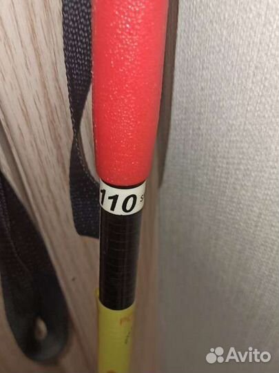 Лыжные палки