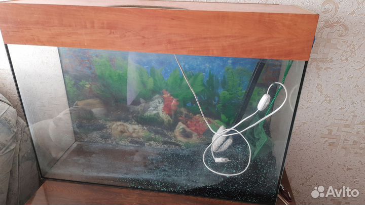 Аквариум