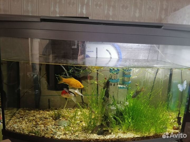 Аквариумный комплекс Tetra 