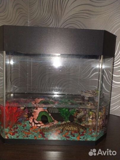 Аквариум
