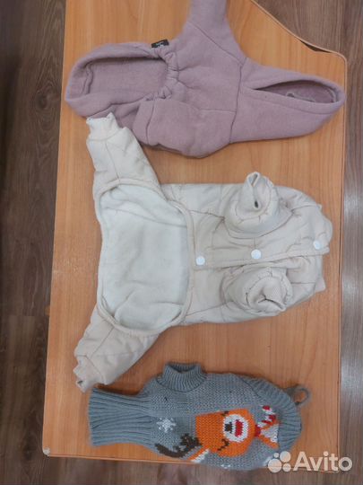 Одежда для щенков или карликовых пород собак