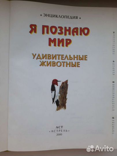 Книга/Энциклопедия 